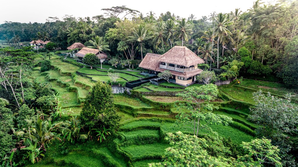 Green rice terraces and thatched roofs surrounded by palms in Bali.