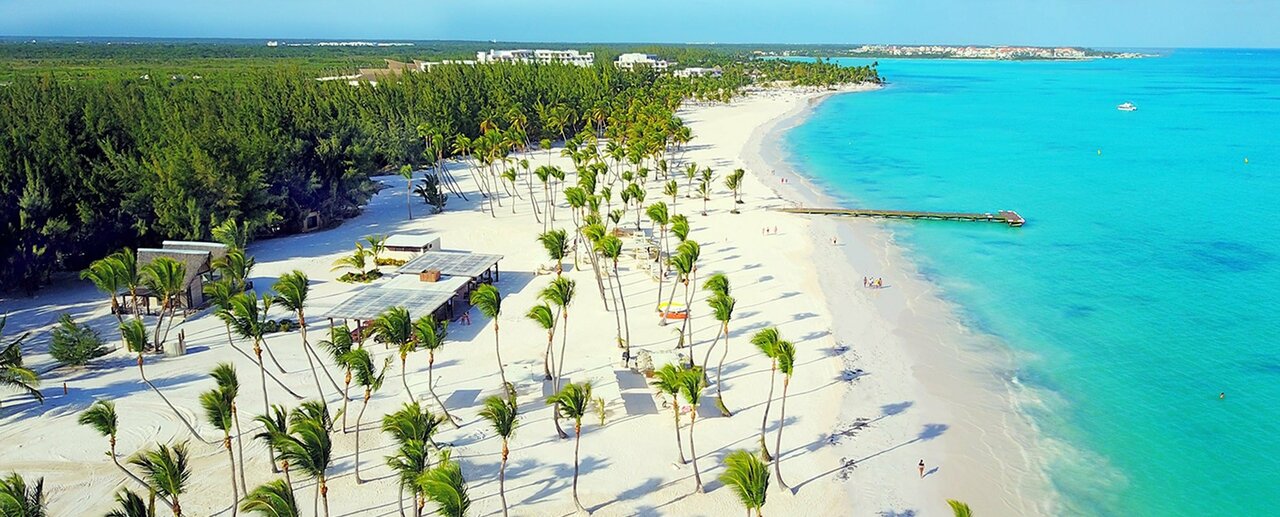 Palm-lined white-sand beach in the Dominican Republic.
