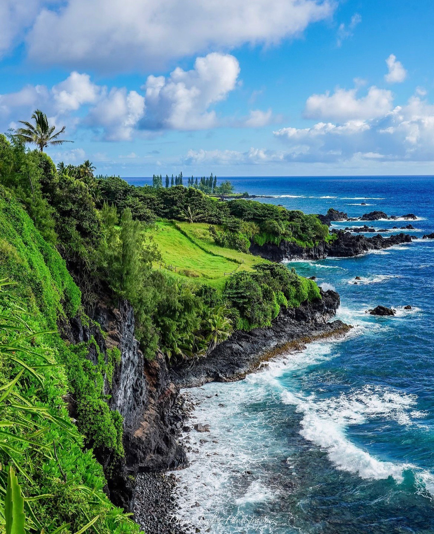 Lush green cliffs and ocean surf along Hawaii’s coastline.