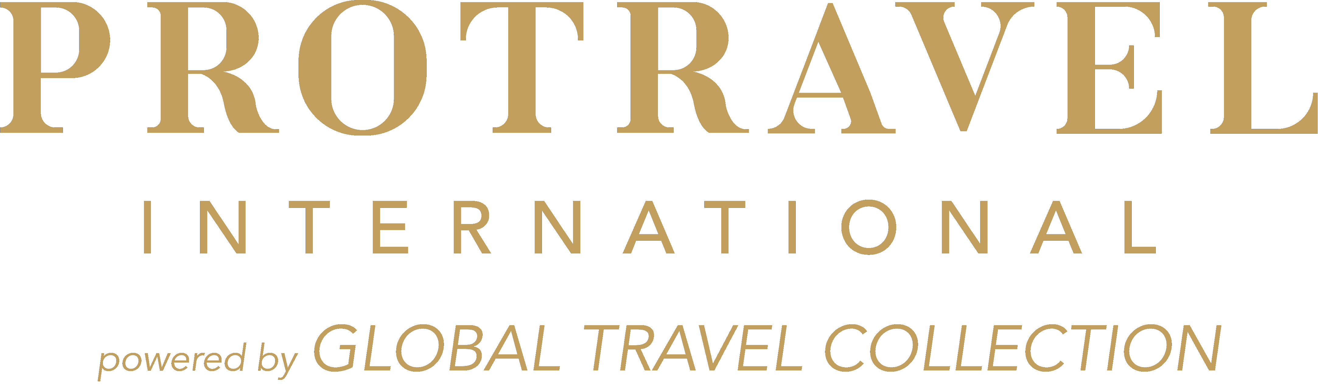 Protravel International logo
